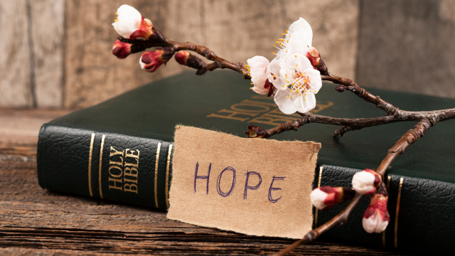 Renewed Hope for Tomorrow