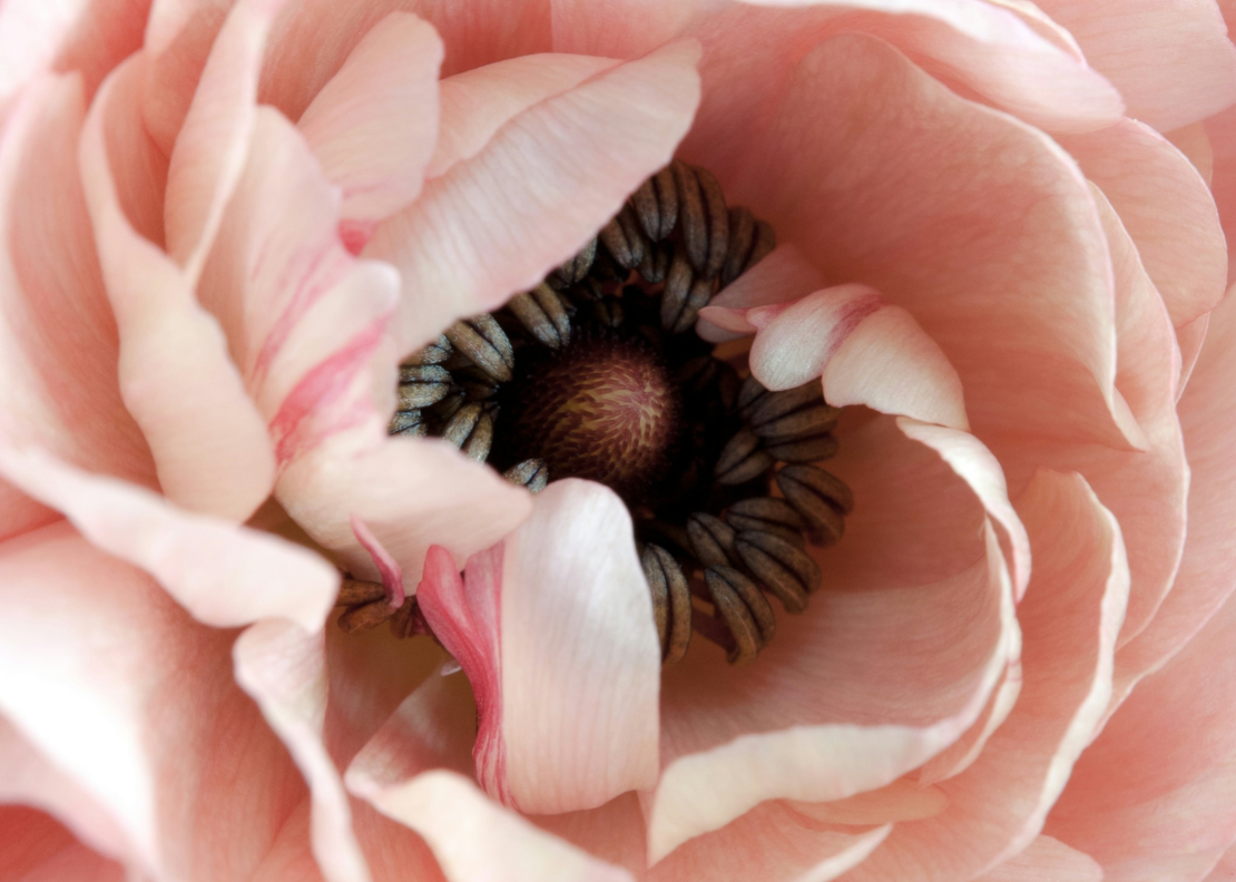 Perimenopause: The Season Nobody Warned Us About