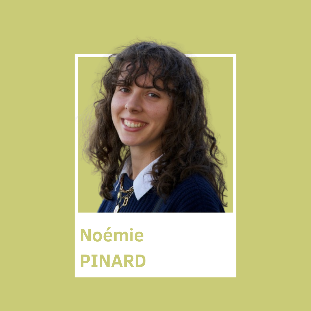 Noémie Pinard - livre blanc e-merchandising