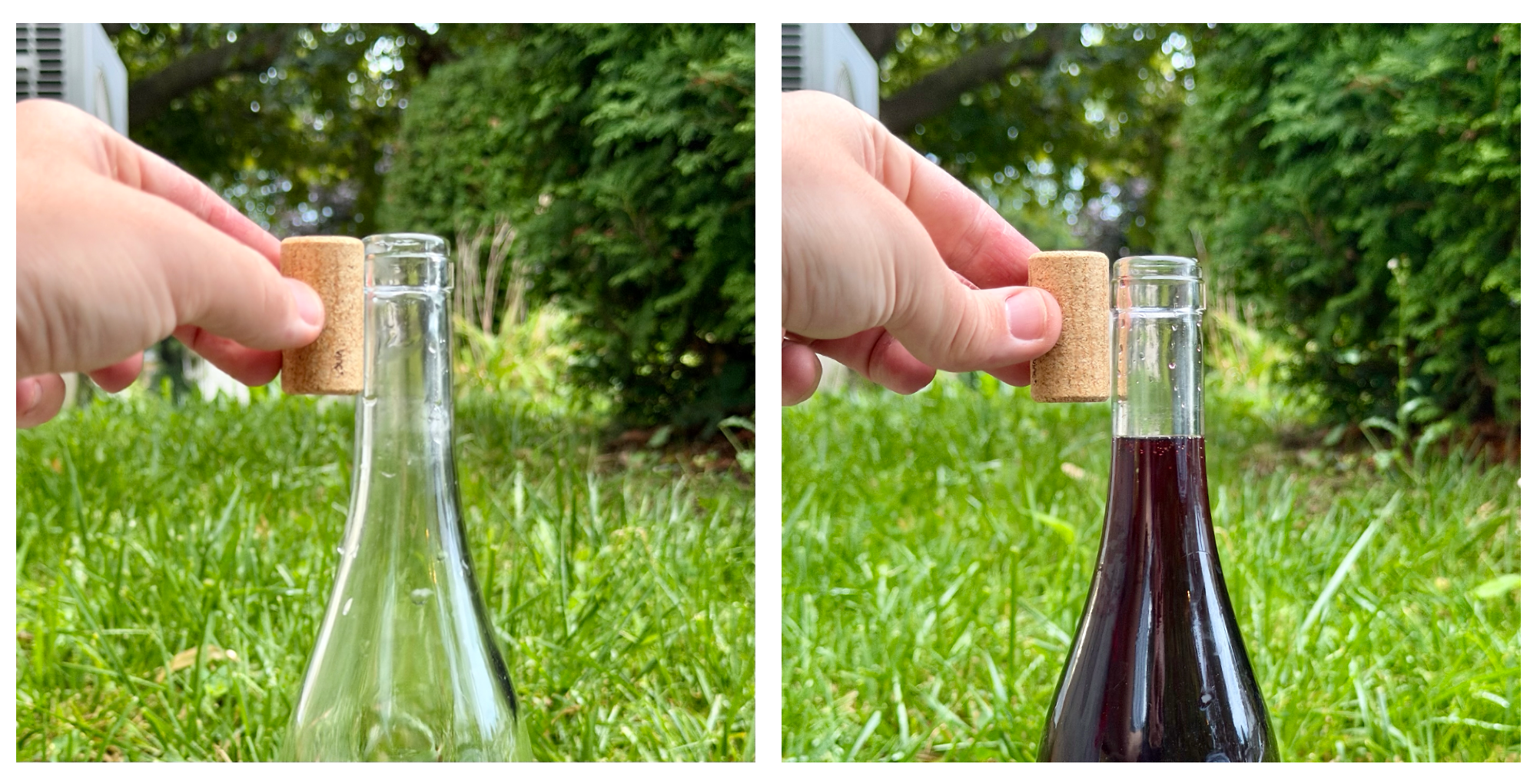 Niveau de remplissage du vin recommandé pour une bouteille régulière