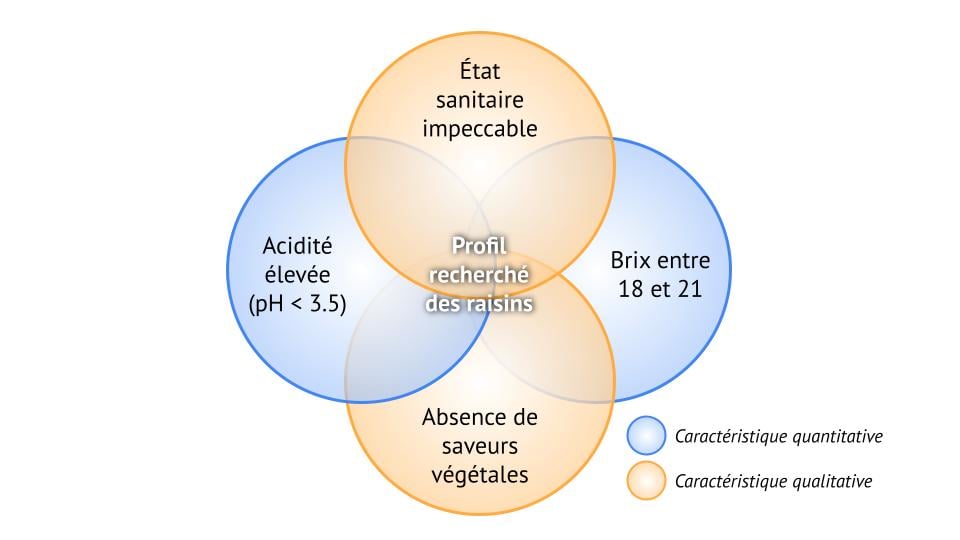 Caractéristiques recommandées pour des raisins destinées à du pétillant naturel