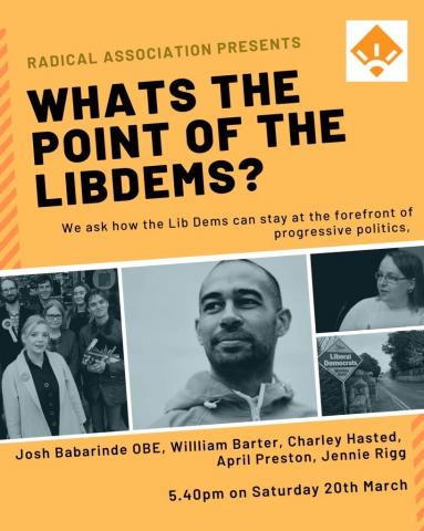 Event: What's the point of the Liberal Democrats?
