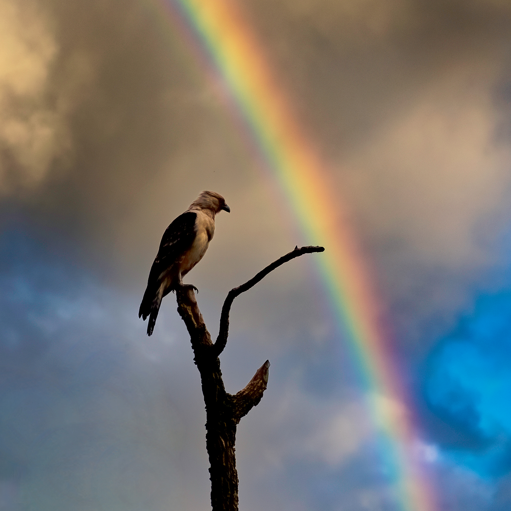 One Day Closer: Peace, Power, and Prosperity - No Matter What