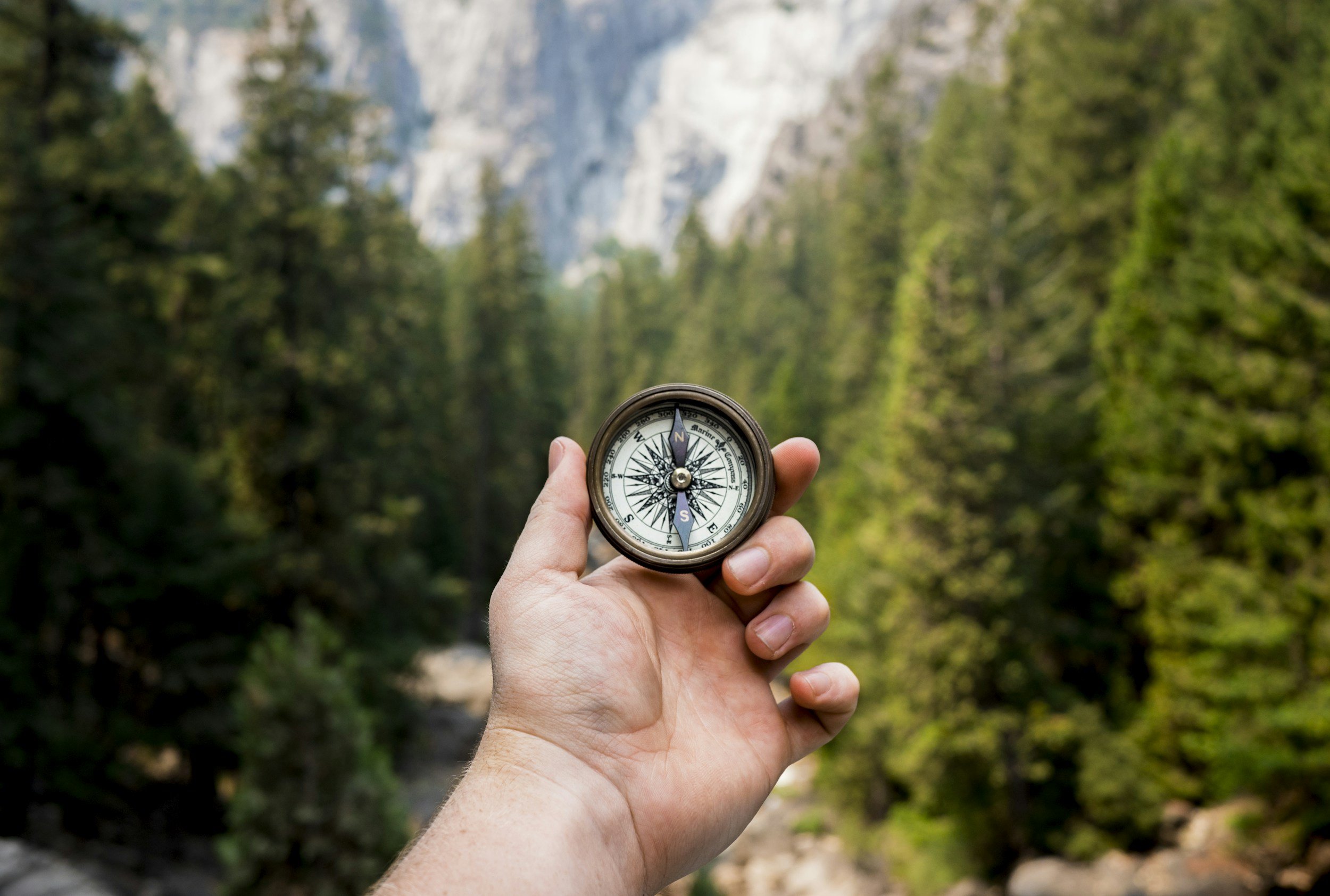 How My Daughter's Advice Can Help You Reach Your Dream