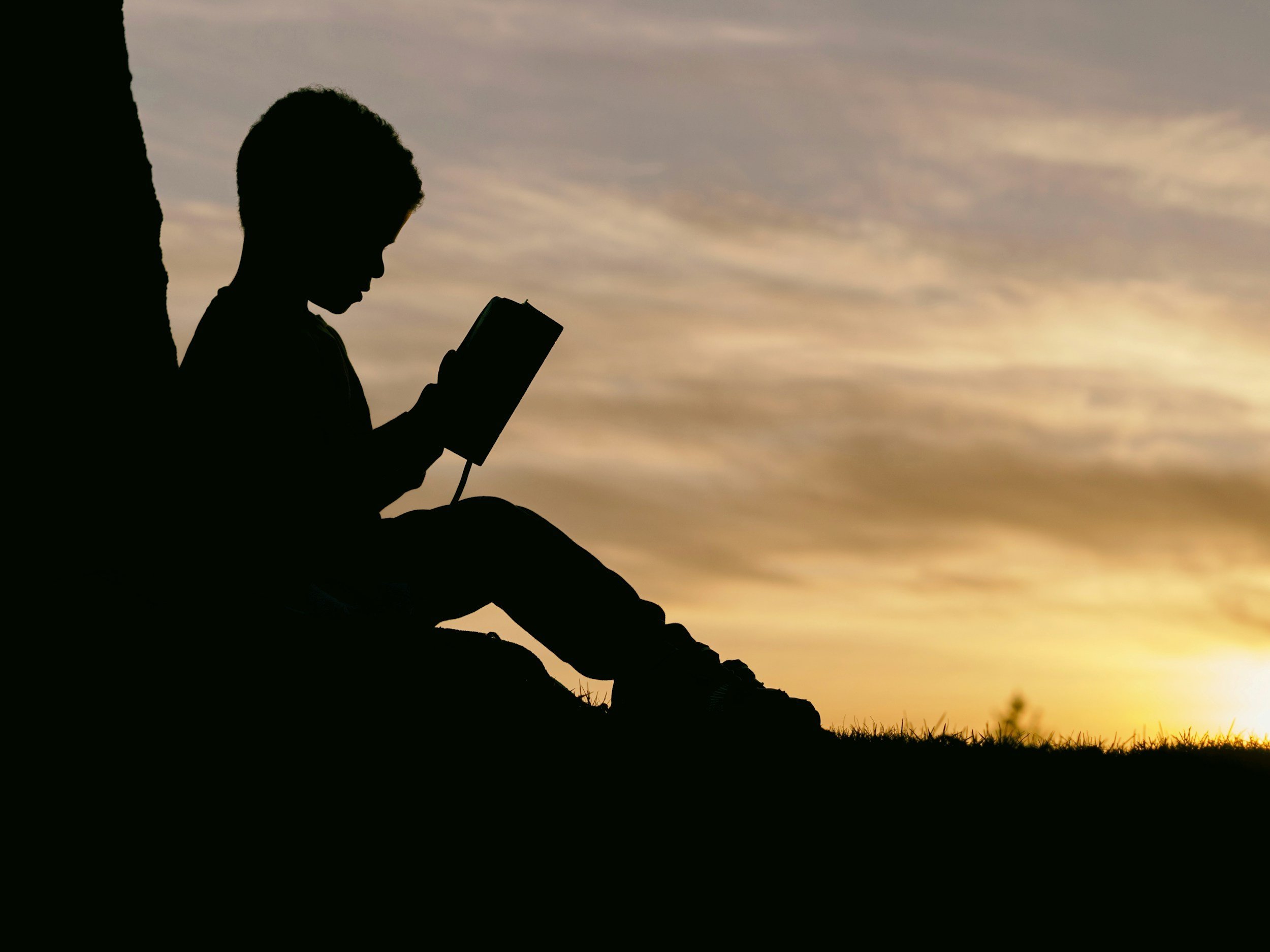 My son’s reading journey- and what it means for dream chasing