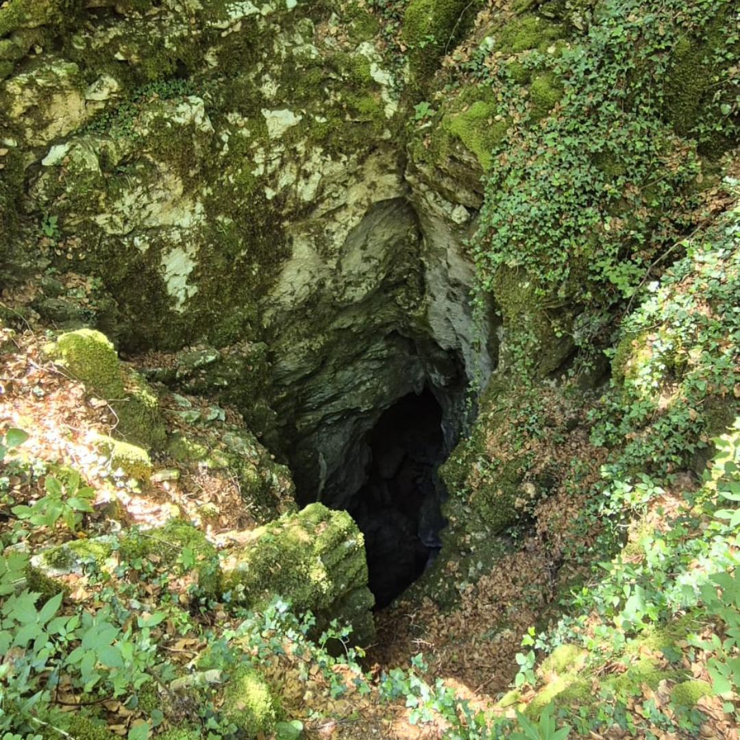 Hrib Sovič
