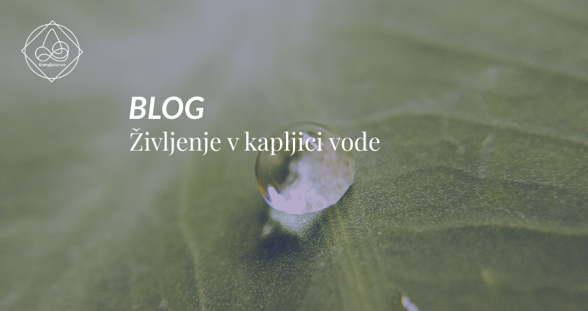 Kolumna: Življenje v kapljici vode