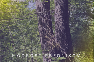 Po sledeh prednikov — celodnevna pot pri Postojni