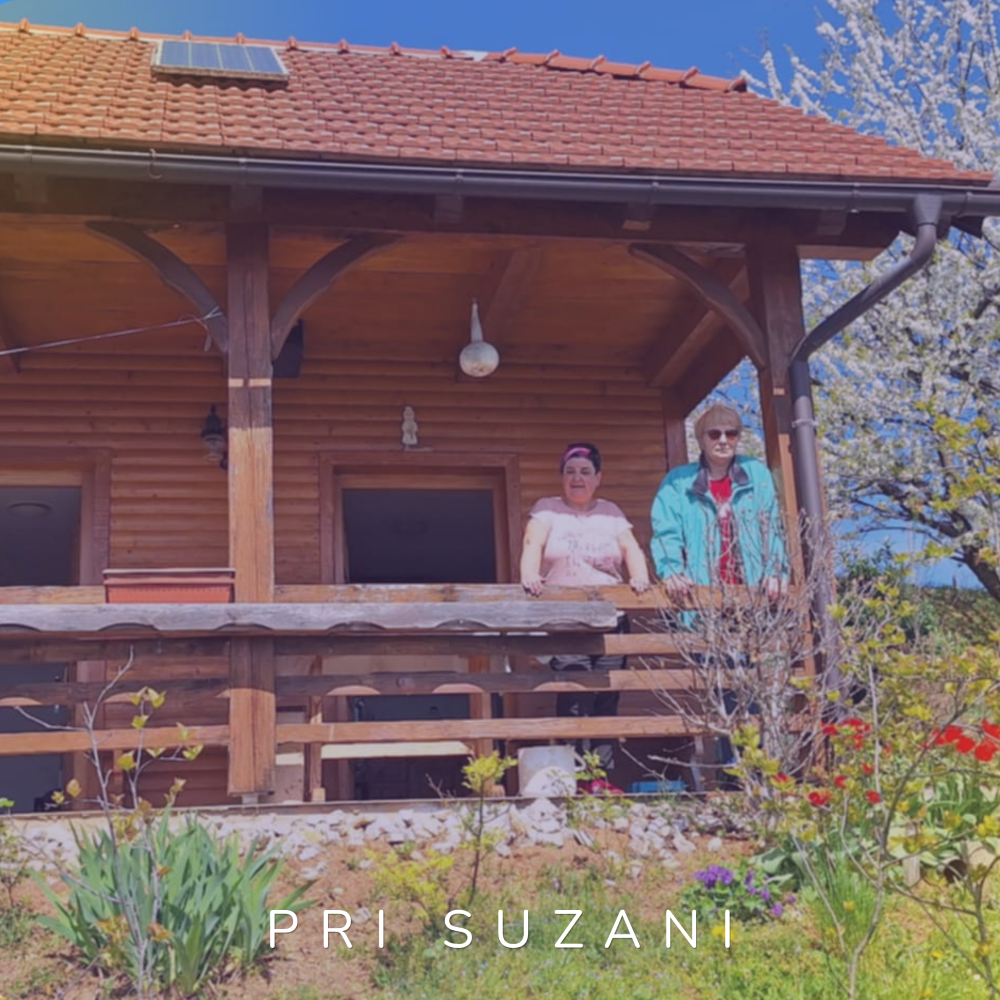 Lesena hiša na Suzanini posesti v Beli krajini