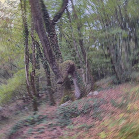 Utrinek s terena, fotografija 1