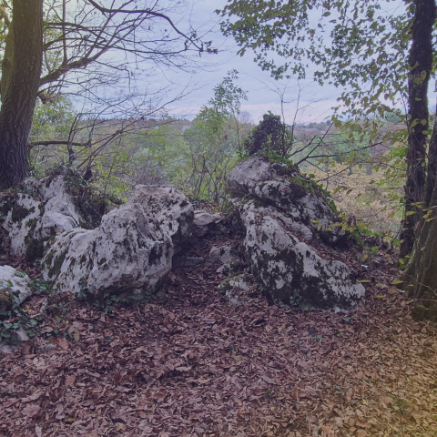 Utrinek s terena, fotografija 3