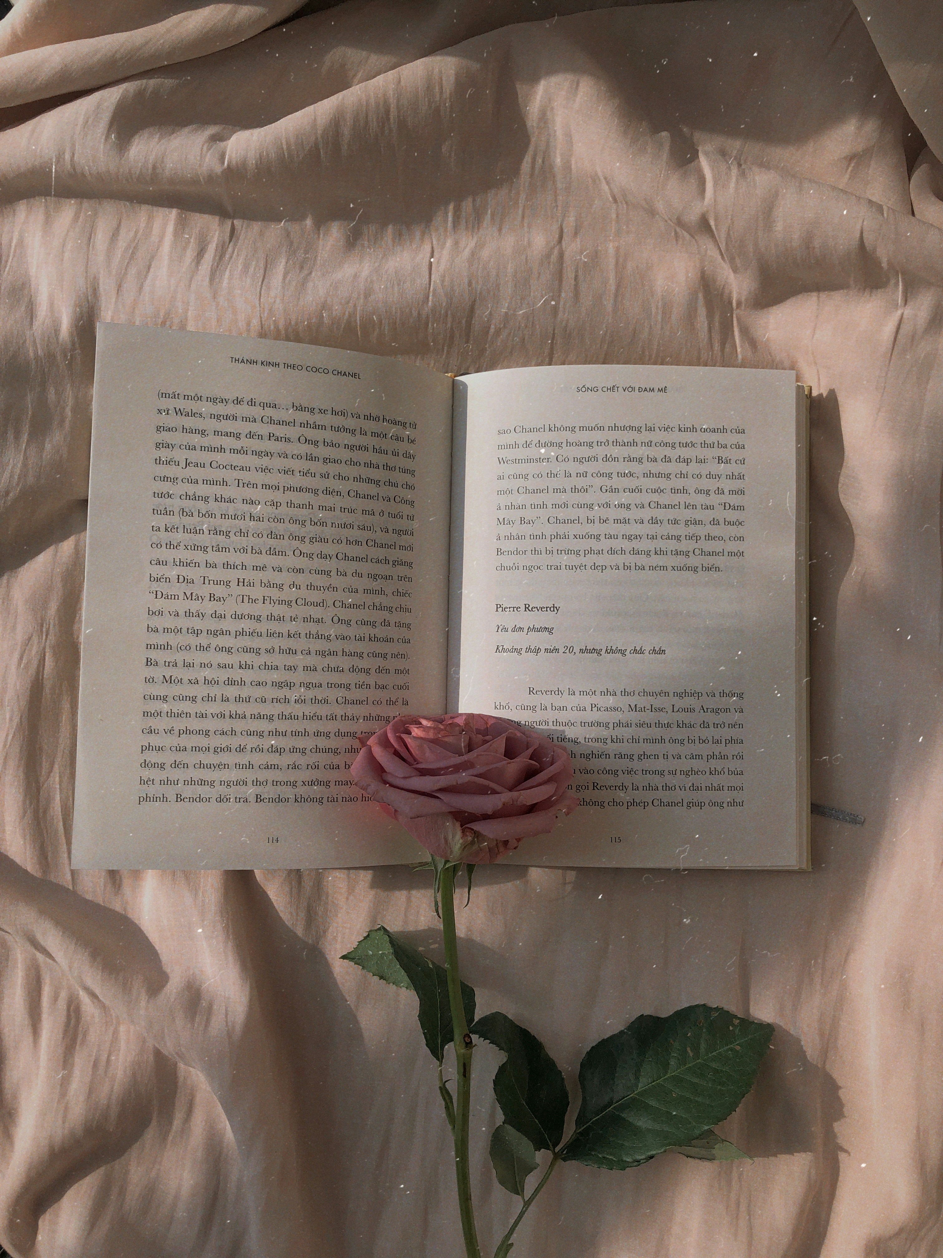 Christian Fiction Book Review Blog Morgan A. Mitchell