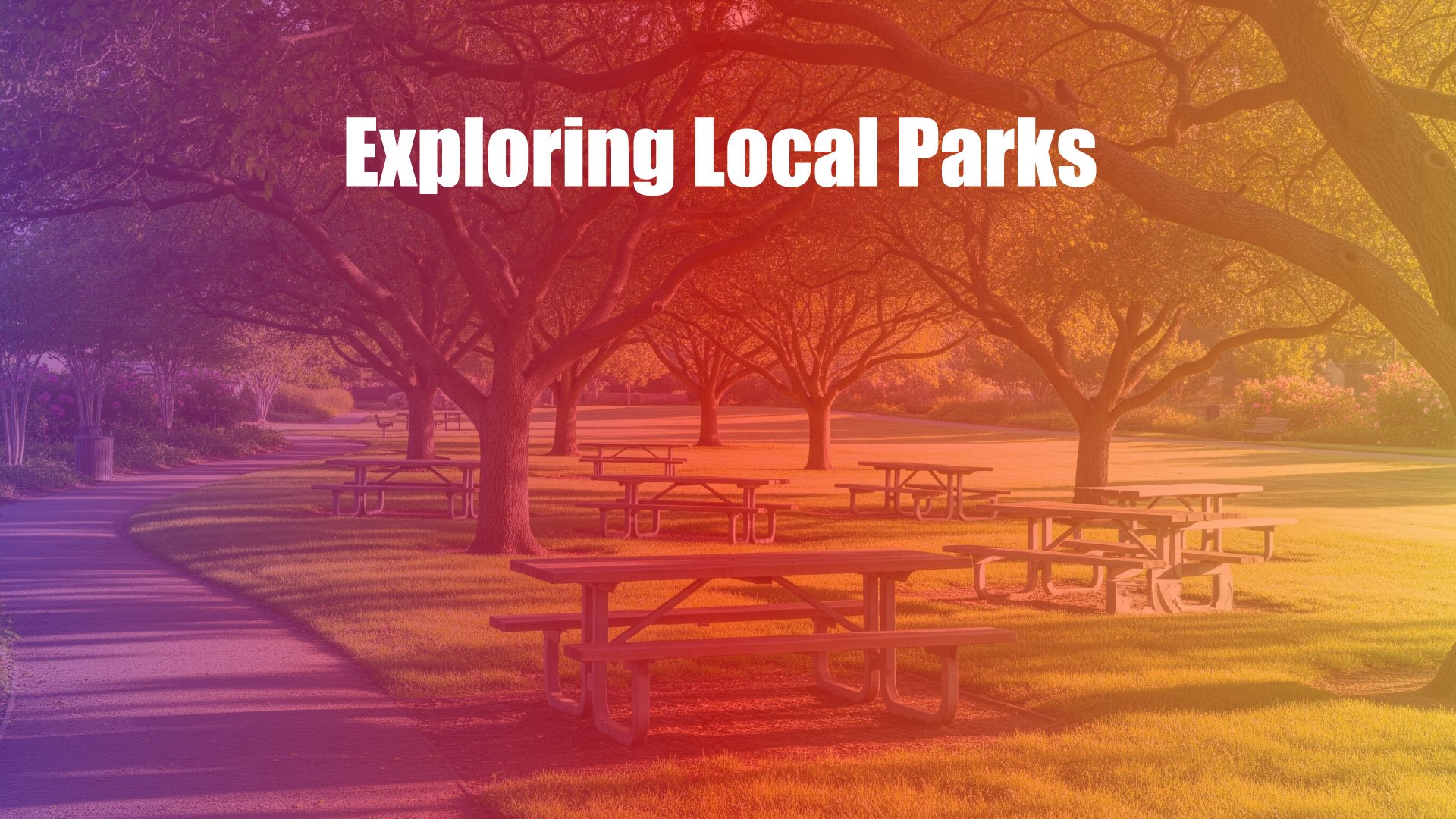 Exploring Local Parks in the St. Cloud Area