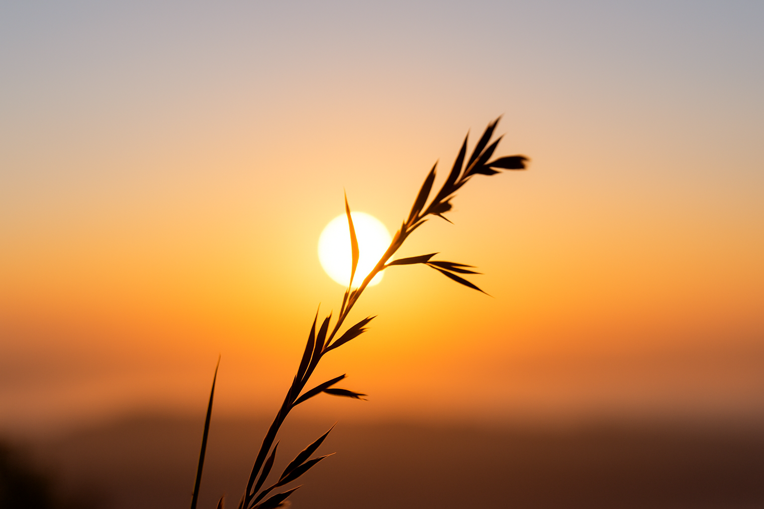 Be Still and Know: Finding Peace in the Pause