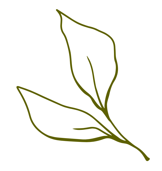 line drawing of two leaves
