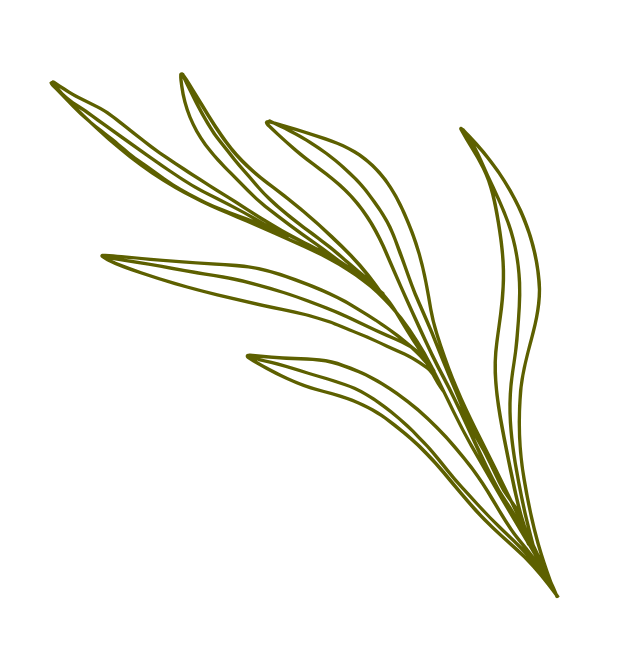 Line drawing of leaves