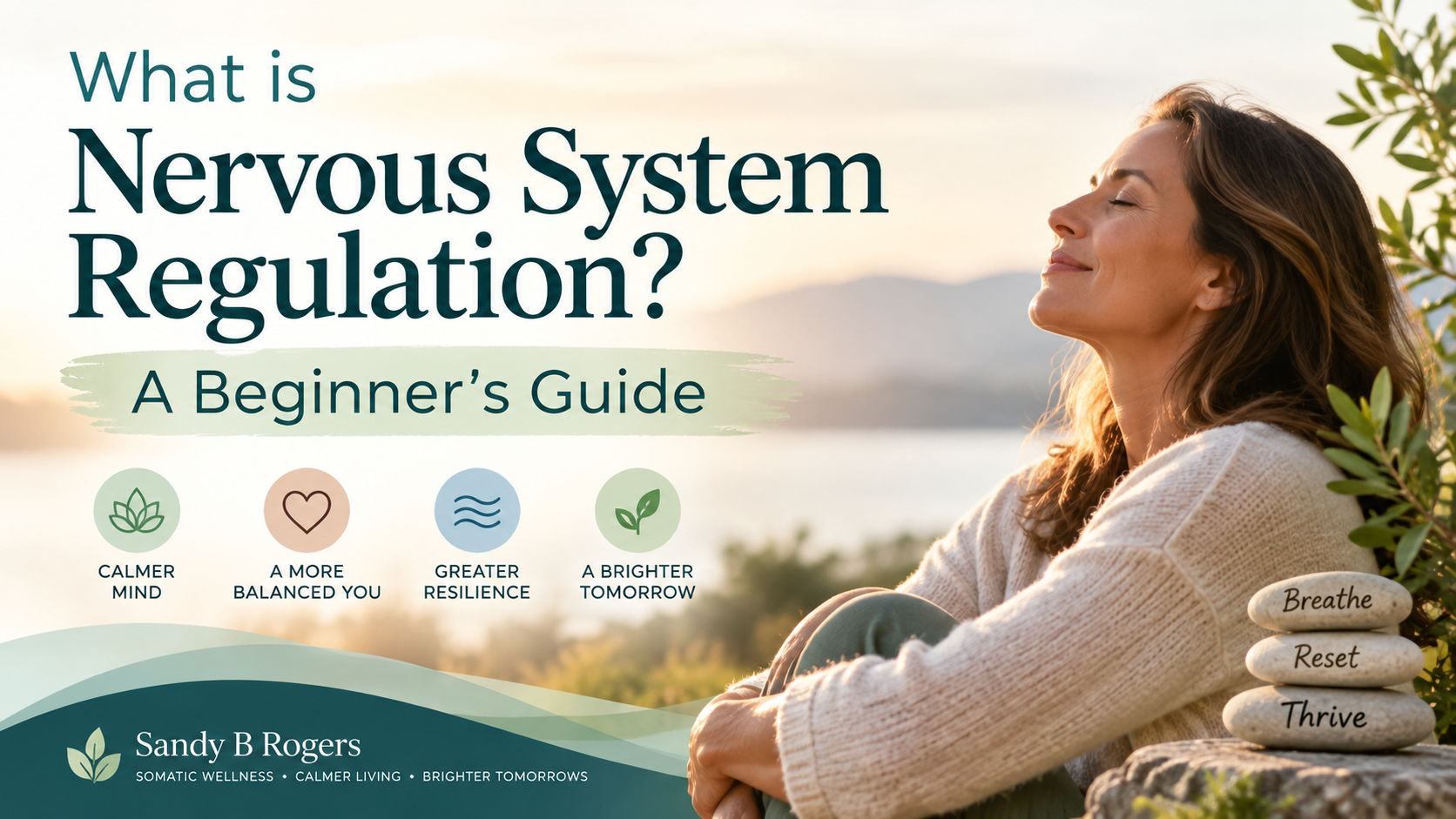 What is Nervous System Regulation? A Beginner's Guide