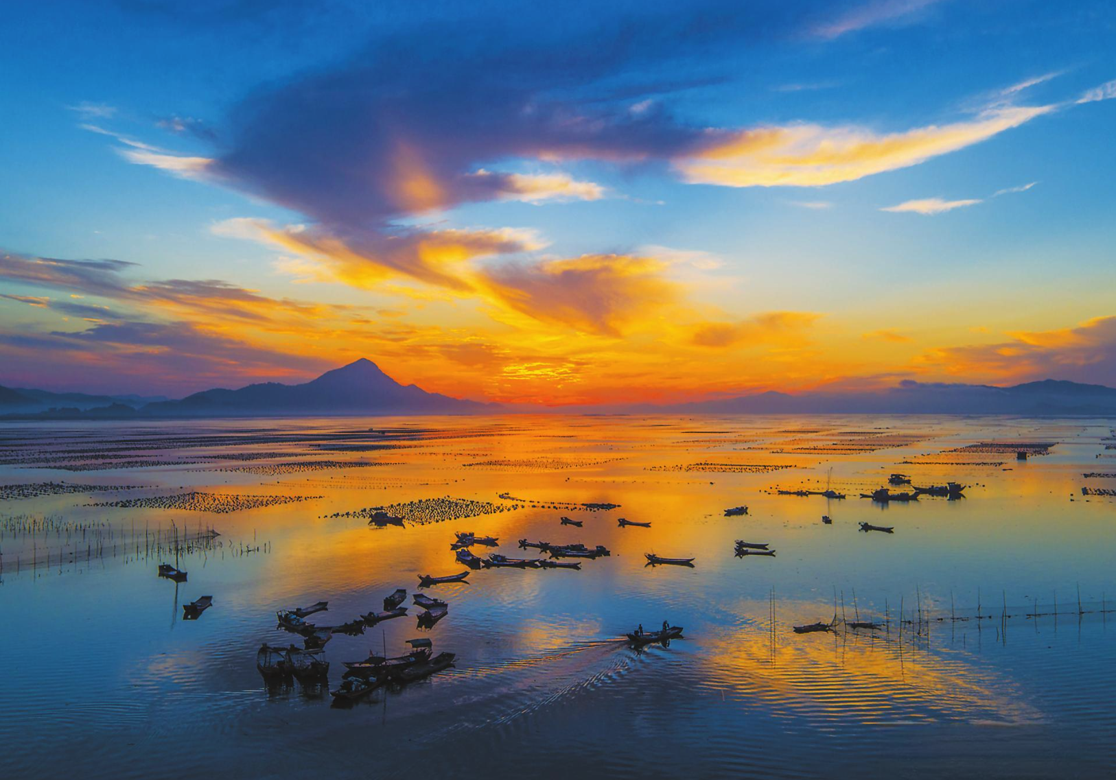 林语堂晚年肖像