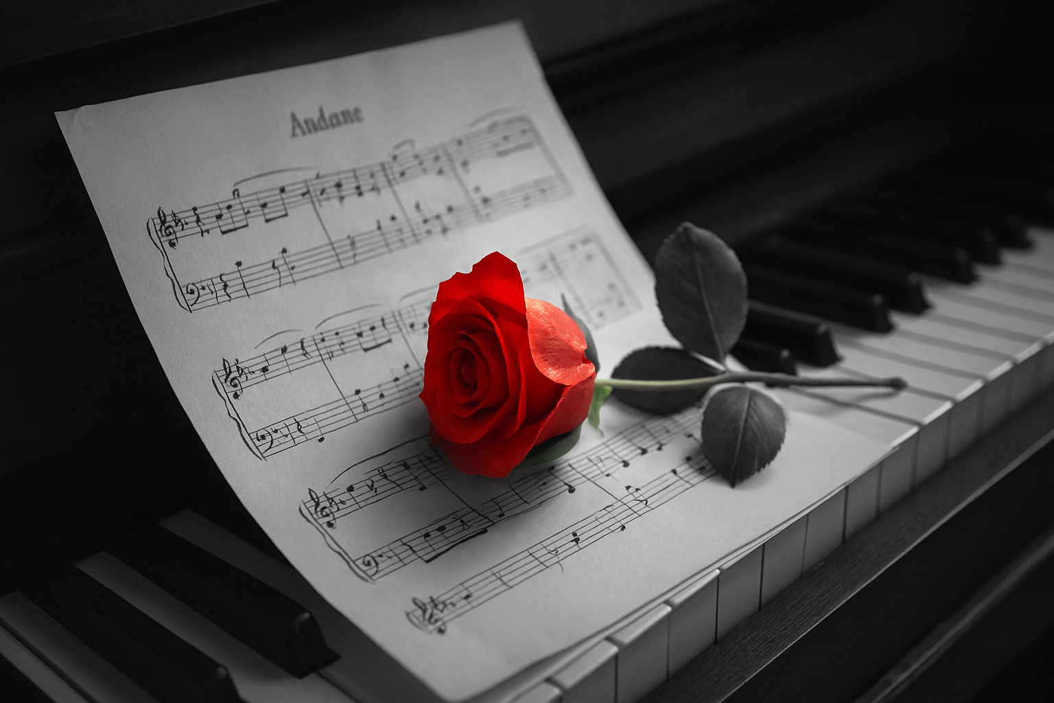 音韵流转，恩膏长存