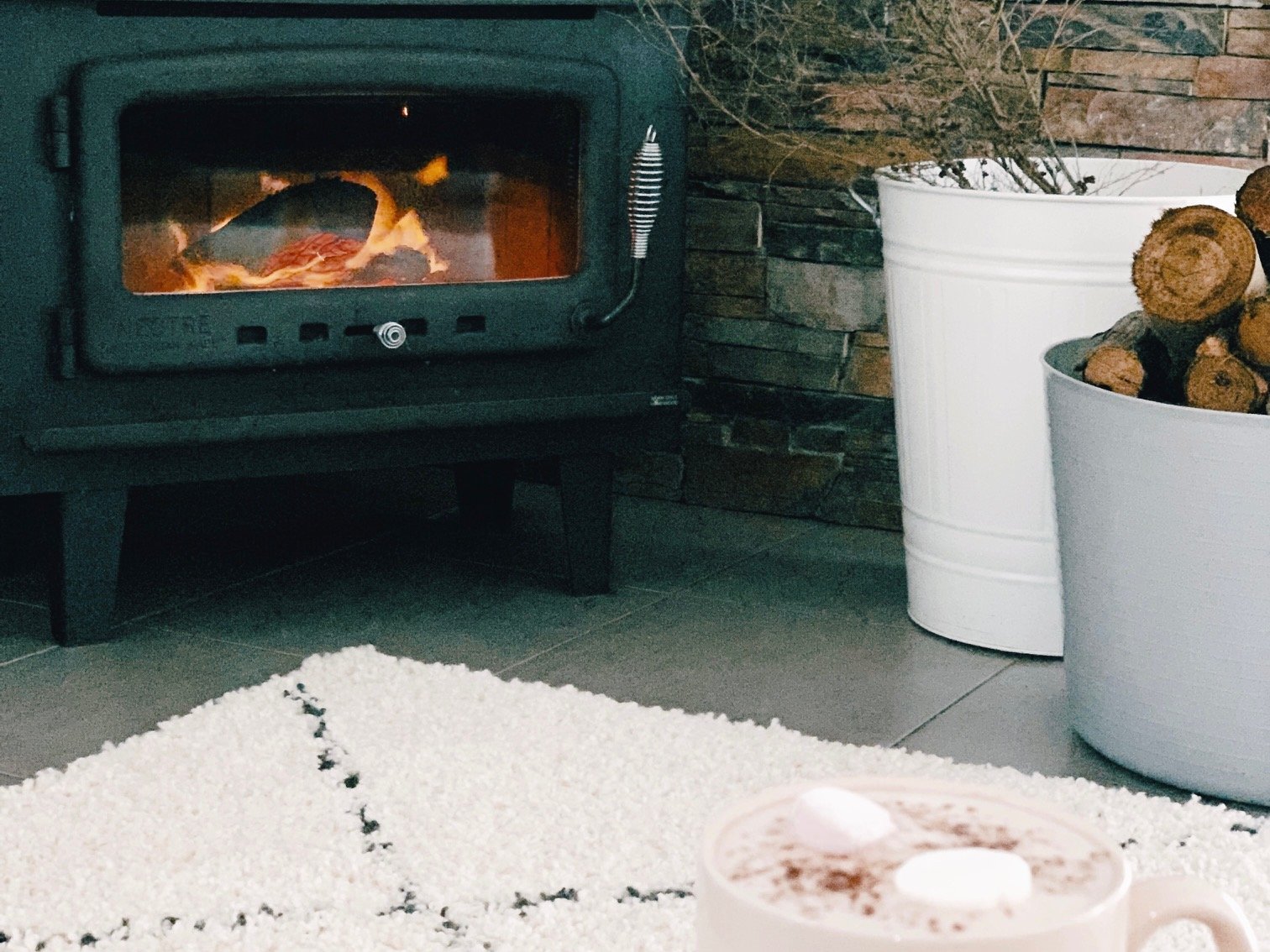 Indoor fireplace with a steaming cup of coffee topped with marshmallows, set against a cozy forest cabin backdrop at Andersons Eco Retreat.