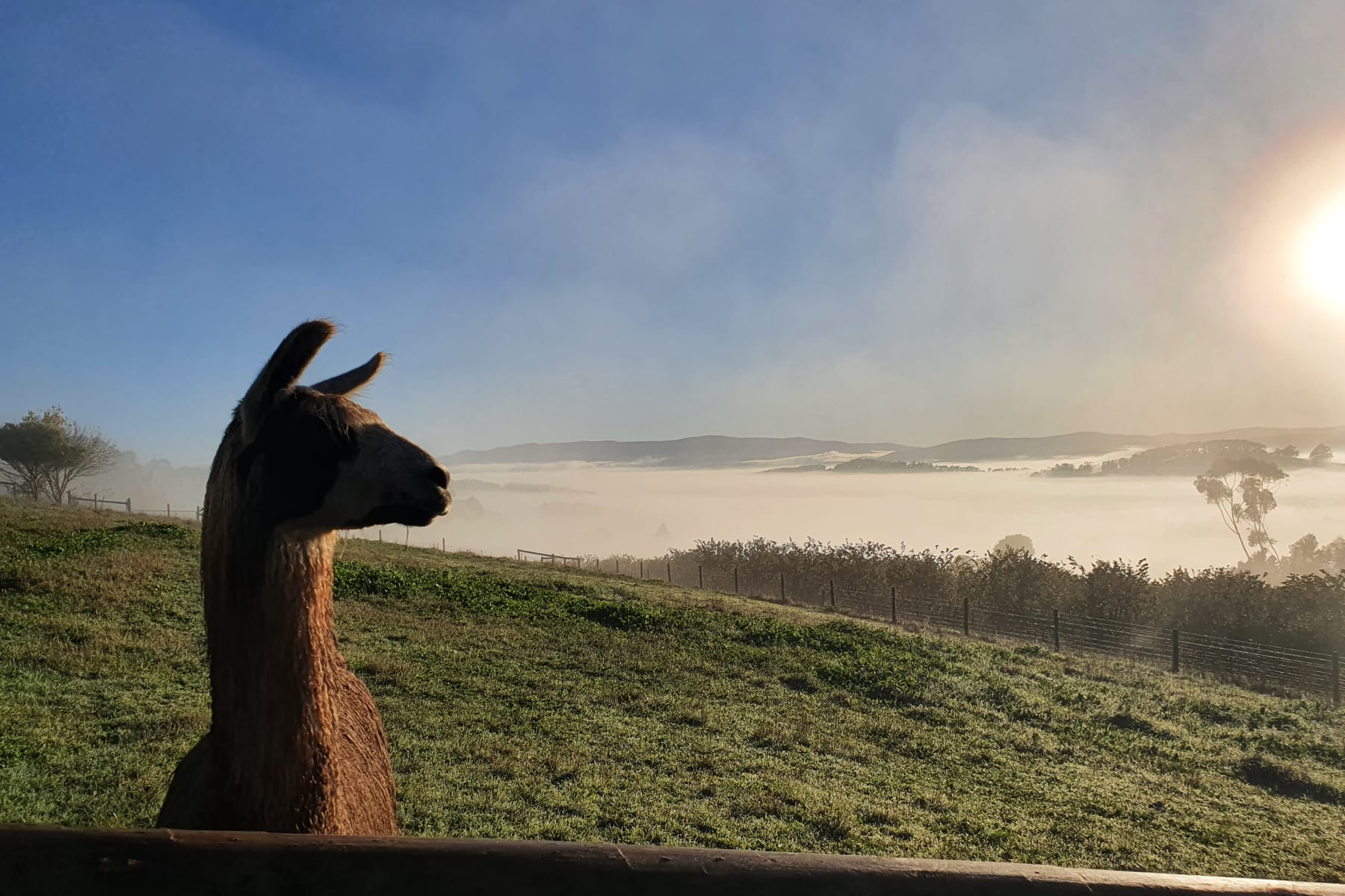 Countryside Relaxation & Nature Escapes Near Melbourne