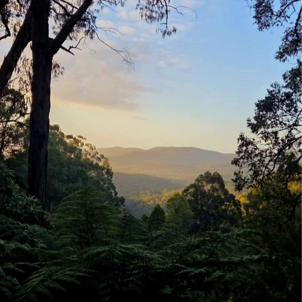 View from the lookout over the valley at sunrise at Andersons Eco Retreat