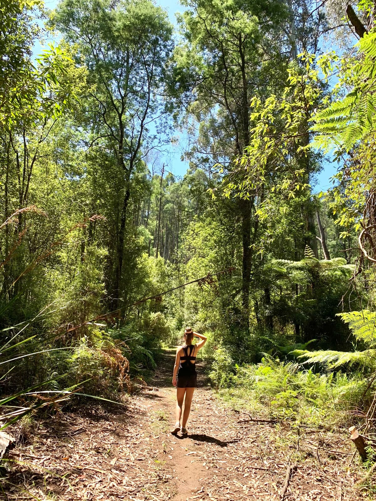 Girl walking along a forest trail at Andersons Eco Retreat, surrounded by trees and nature