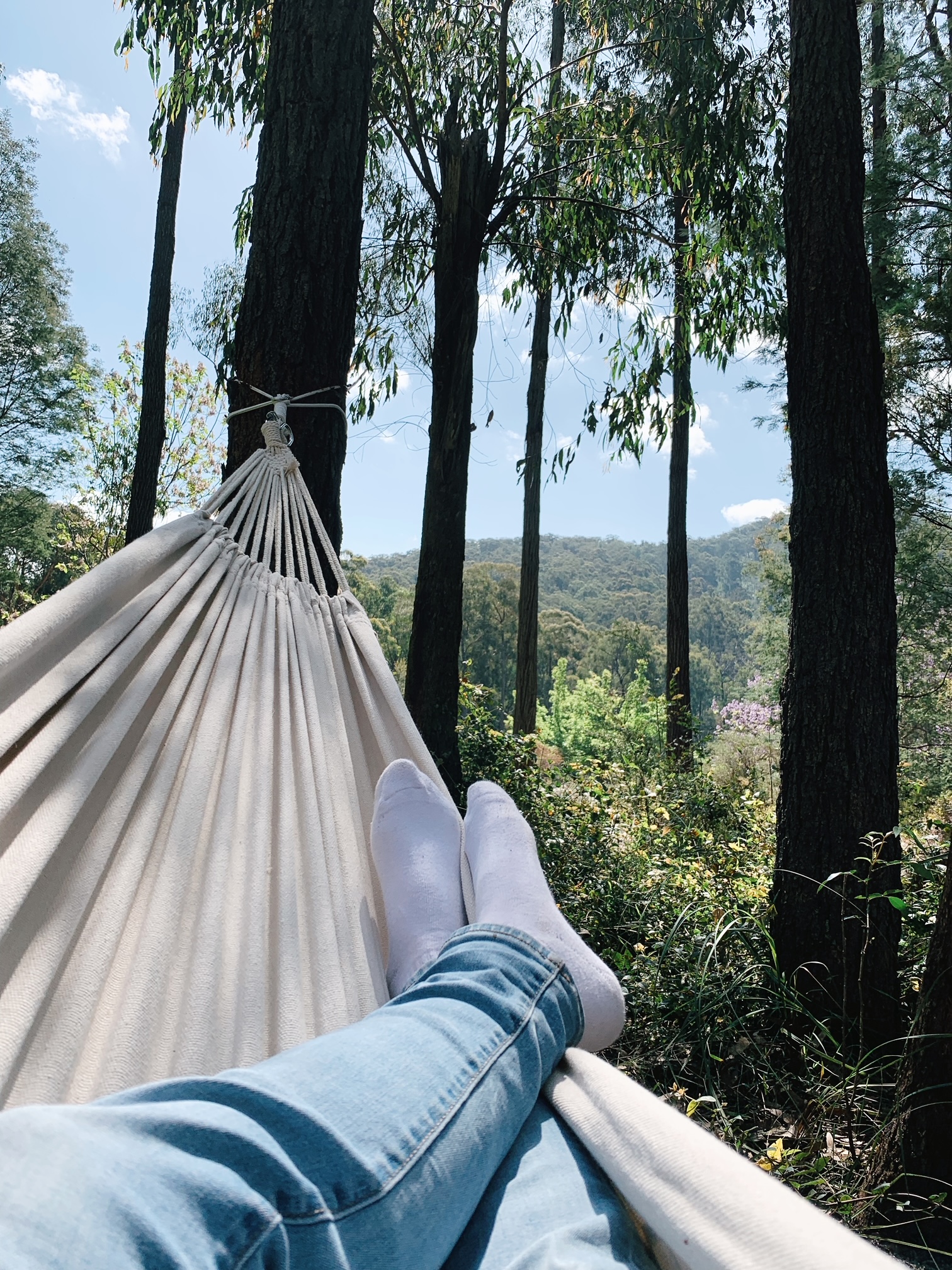 Person relaxing in a hammock, gazing at mountain views from the front yard of Andersons Eco Retreat