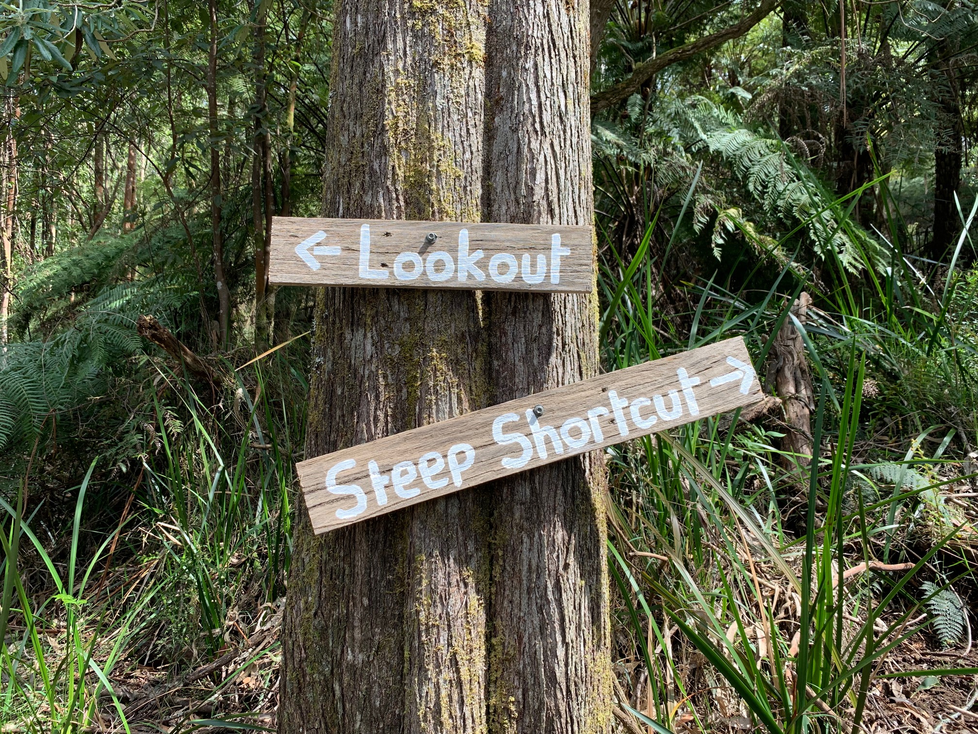 Rustic walking track signage guiding guests into the forest trails at Andersons Eco Retreat