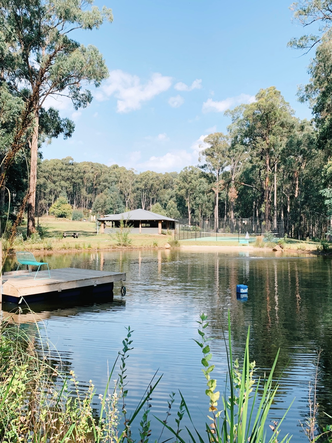 Tranquil spring-fed pond at Andersons Eco Retreat, surrounded by native bushland and birdlife