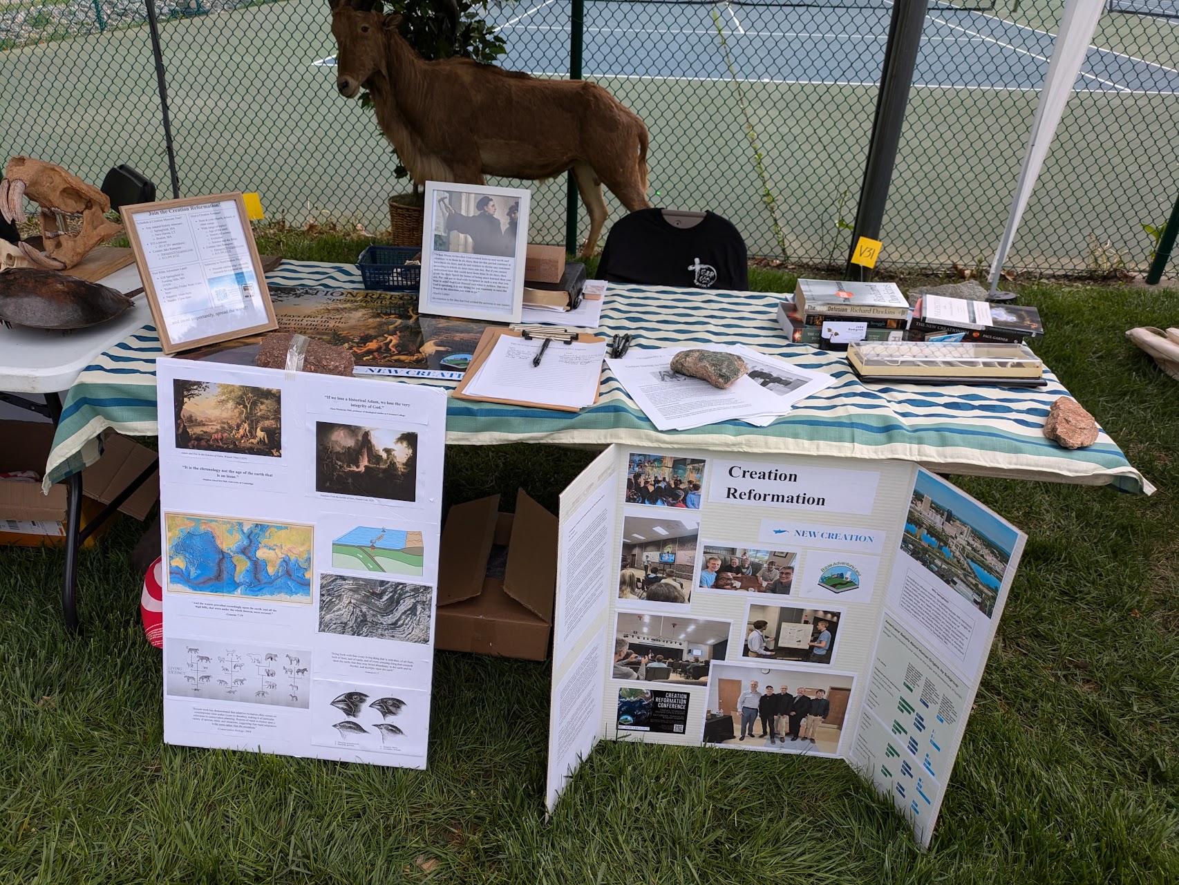 3 Lessons I've Learned from Creation Science