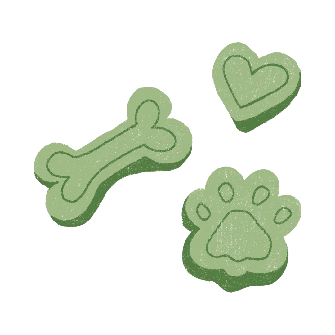 Sin castigos, solo refuerzo positivo