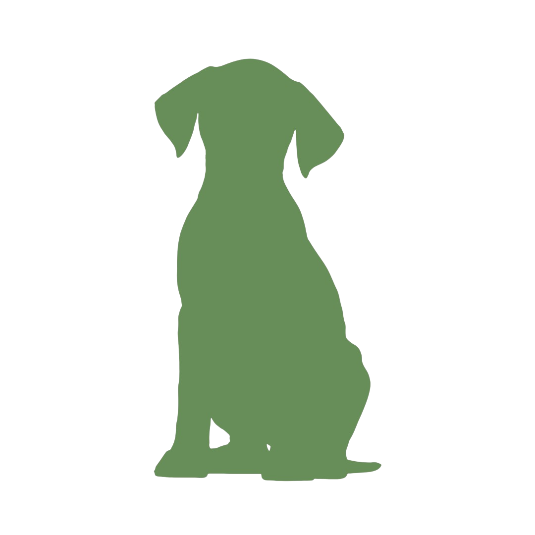 Método probado y fácil de seguir