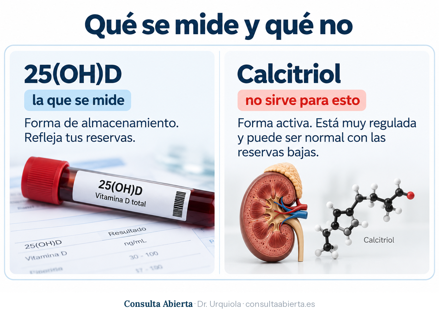 Comparación entre la 25(OH)D, que es la forma de almacenamiento y la que se mide en la analítica, y el calcitriol, que es la forma activa, está muy regulada y puede ser normal con las reservas bajas