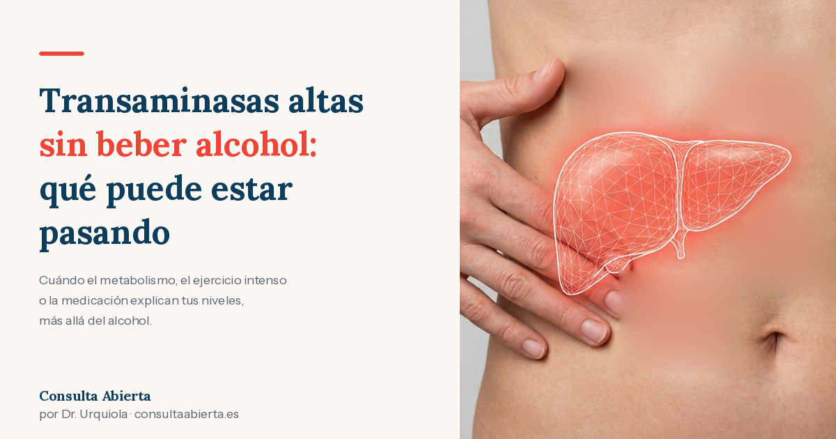 Transaminasas altas sin beber alcohol: qué puede estar pasando