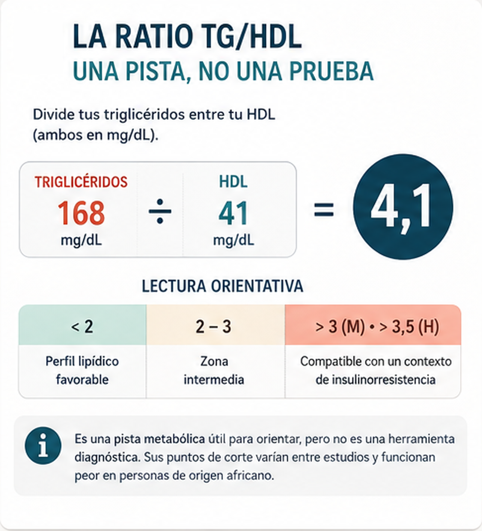 Infografía que explica cómo calcular la ratio TG/HDL dividiendo triglicéridos 168 entre HDL 41, con resultado 4,1, y una tabla de lectura orientativa: menos de 2 perfil favorable, entre 2 y 3 zona intermedia, por encima de 3 en mujeres o 3,5 en hombres compatible con insulinorresistencia. Incluye el aviso de que no es una herramienta diagnóstica.