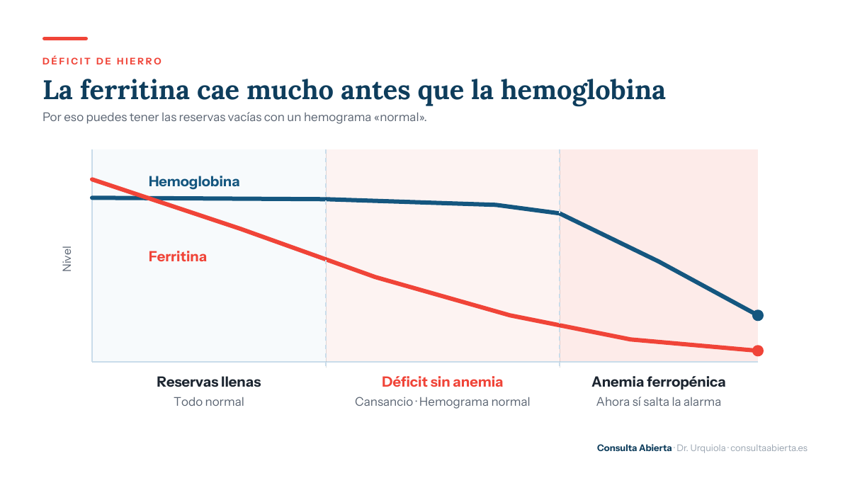 Gráfico que compara la evolución de la ferritina y la hemoglobina en el déficit de hierro: la ferritina desciende desde el inicio mientras la hemoglobina se mantiene normal, con tres fases señaladas: reservas llenas, déficit sin anemia y anemia ferropénica.