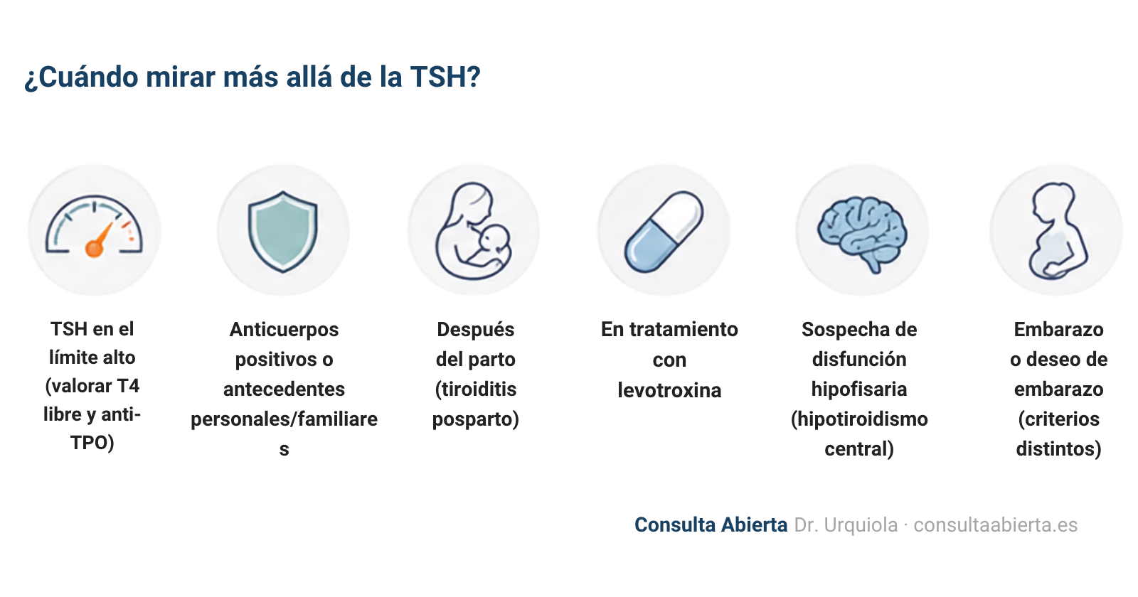 Seis situaciones en que ampliar el estudio tiroideo aporta información: TSH en el límite alto, anticuerpos o antecedentes, después del parto, tratamiento con levotiroxina, sospecha de disfunción hipofisaria y embarazo o deseo de embarazo