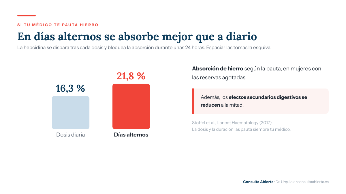 Gráfico de barras que compara la absorción de hierro oral: 16,3 % con dosis diaria frente a 21,8 % en días alternos, según el estudio de Stoffel publicado en Lancet Haematology en 2017.