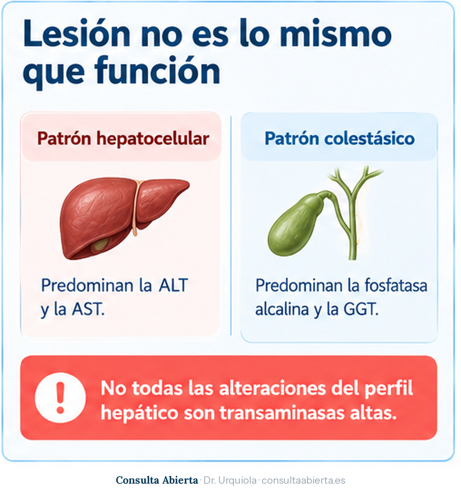 Comparación entre el patrón hepatocelular, en el que predominan la ALT y la AST, y el patrón colestásico, en el que predominan la fosfatasa alcalina y la GGT