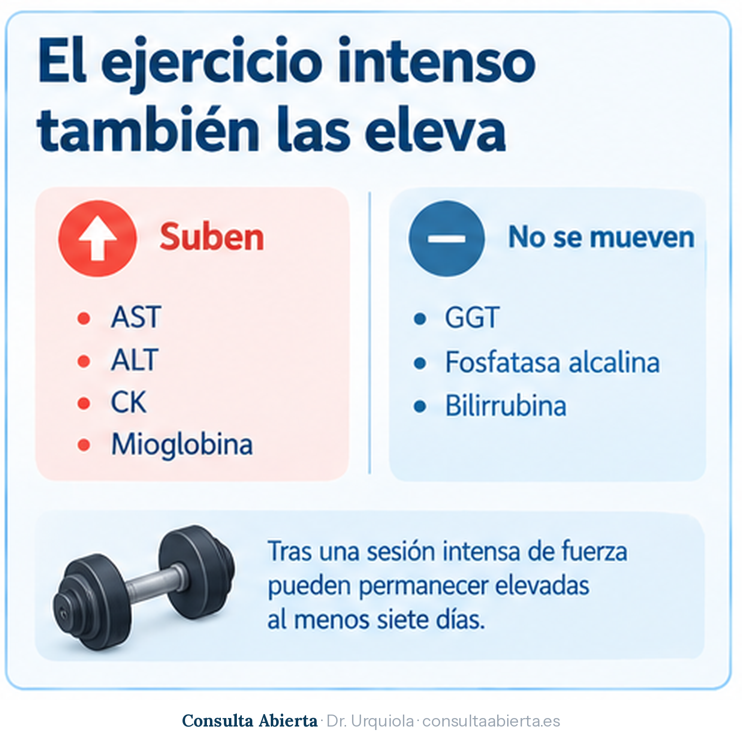 Efecto del ejercicio intenso en el perfil hepático: suben la AST, la ALT, la CK y la mioglobina durante al menos siete días, mientras que la GGT, la fosfatasa alcalina y la bilirrubina permanecen normales