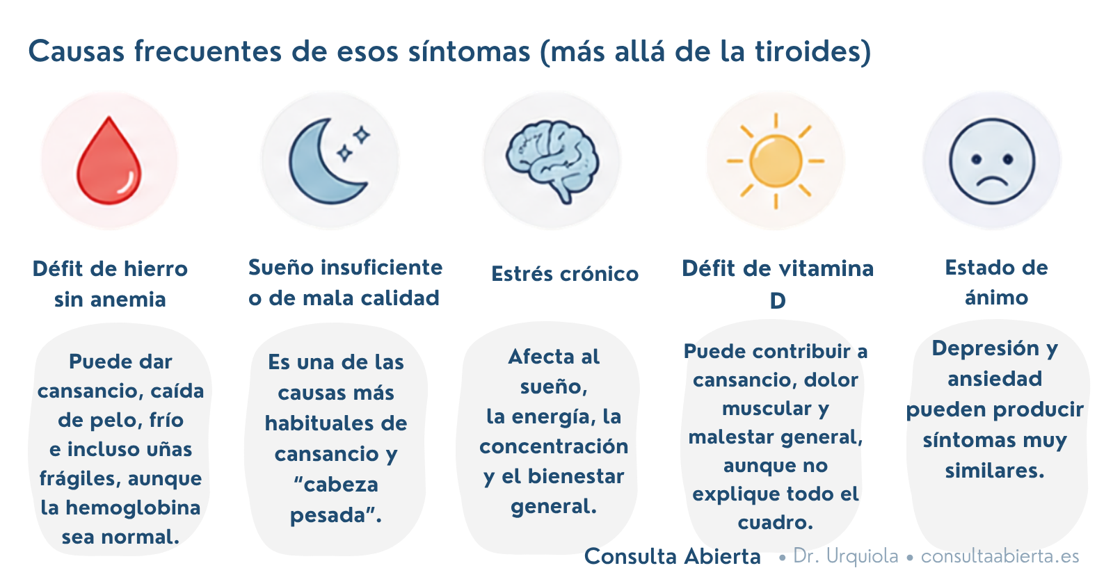 Causas que pueden explicar cansancio, caída de pelo y frío con la tiroides normal: déficit de hierro sin anemia, sueño insuficiente, estrés crónico, déficit de vitamina D y estado de ánimo