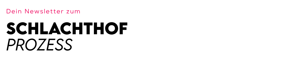 Header des Newsletters. Oben steht in pinker Schrift