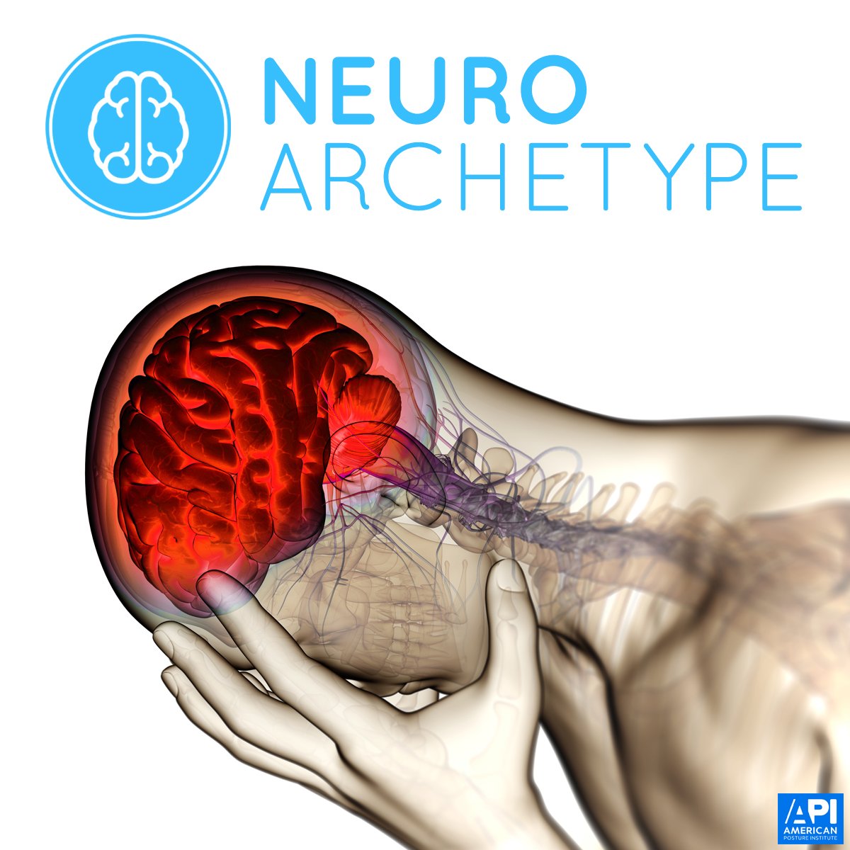 Neuro archetype