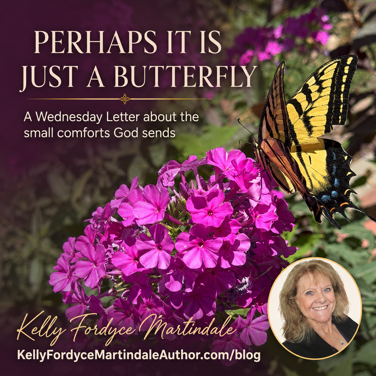 Perhaps It's Just a Butterfly