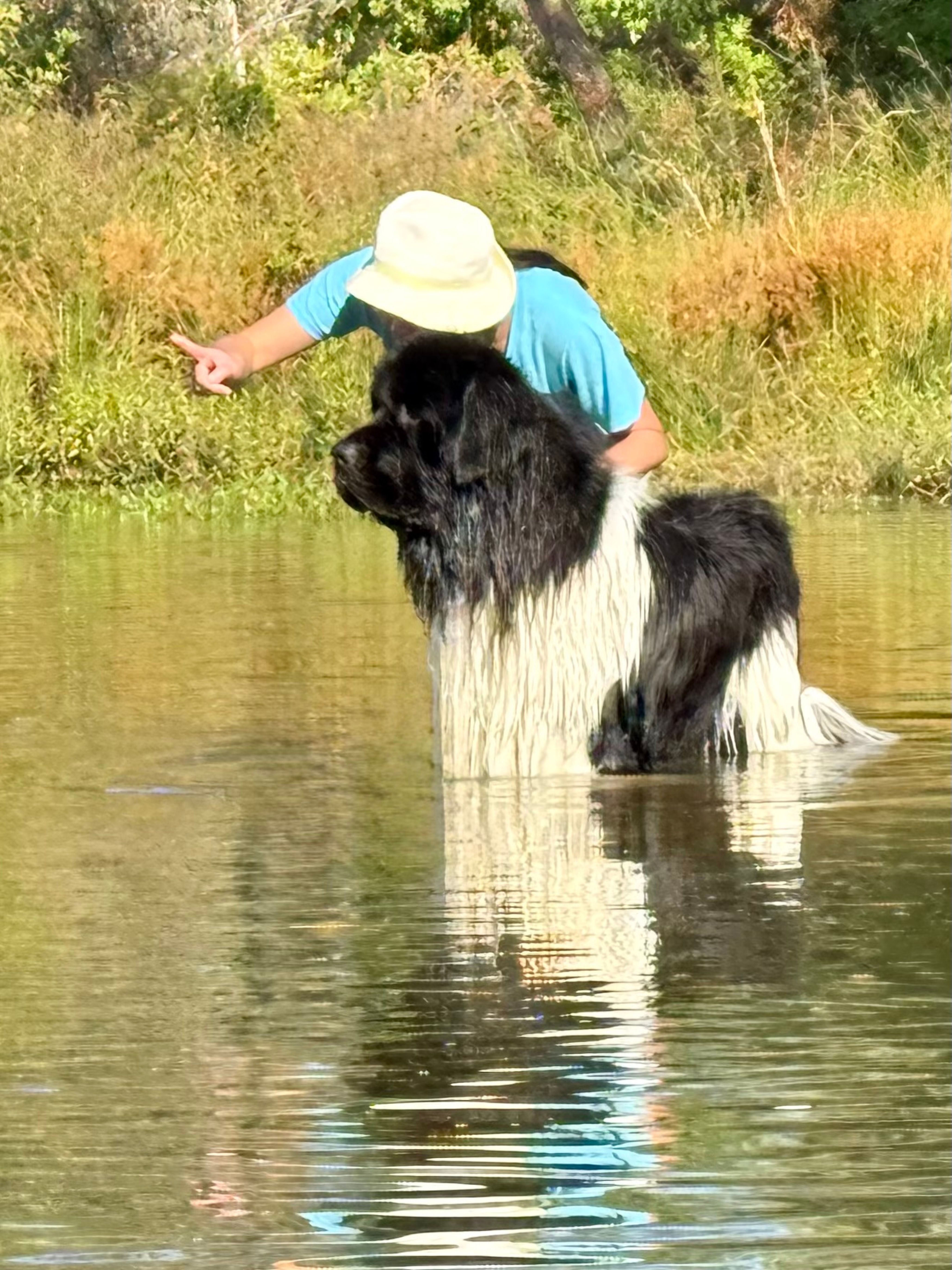 Log cabin sketchdana and ares
