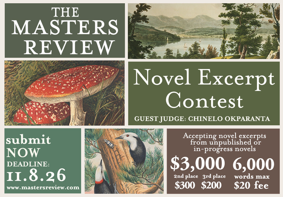 Novel Excerpt Contest