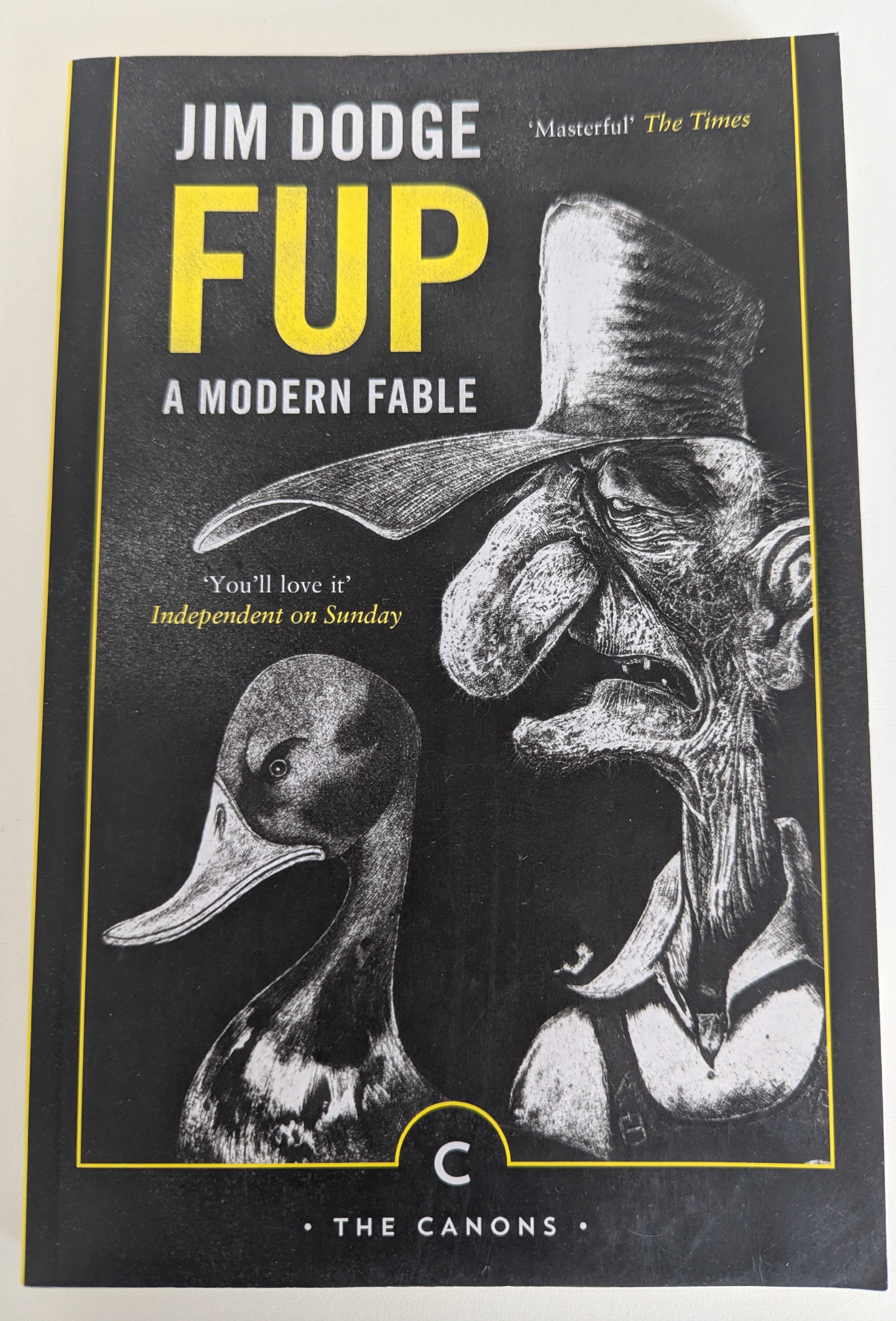 Fup Book Cover
