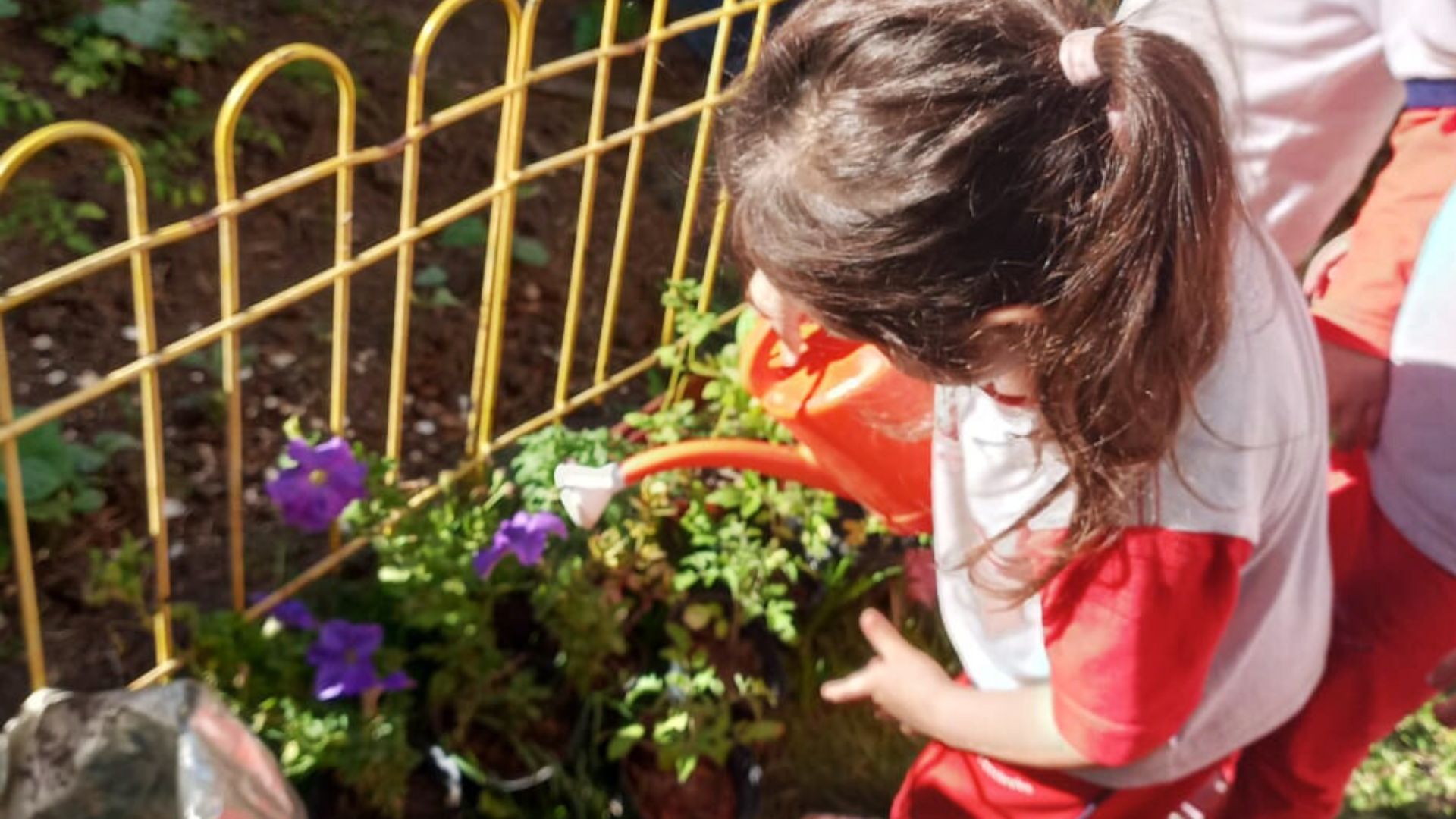 El Tierra en la Feria Regional de Buenas Prácticas en Educación