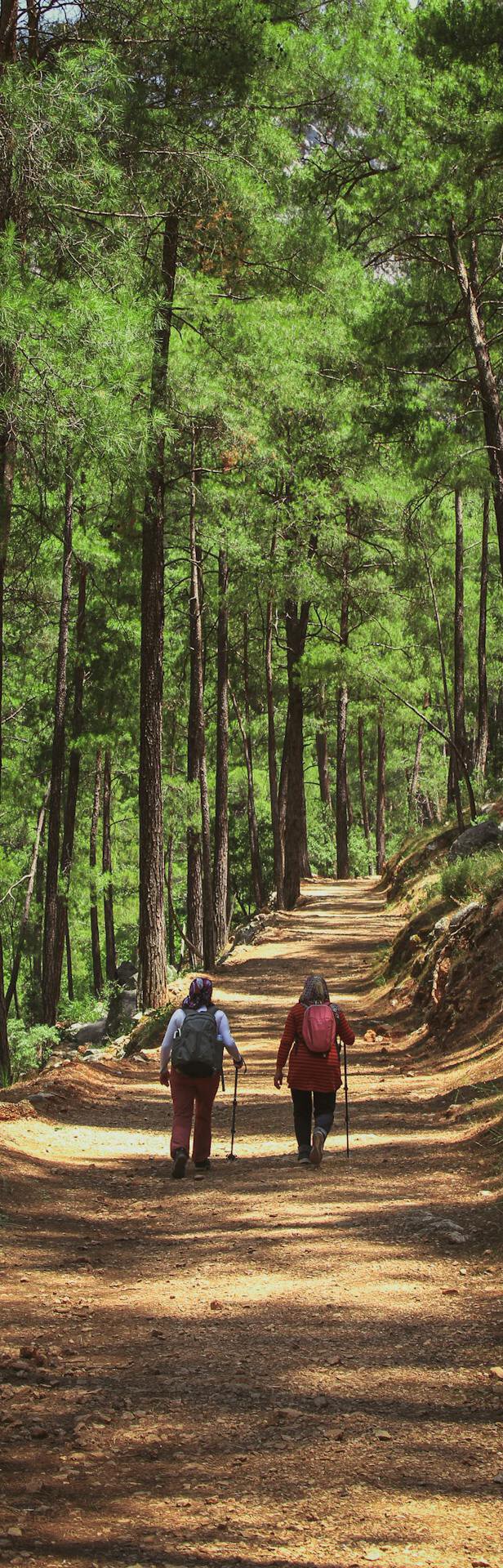 Two people hiking on a path trail guide